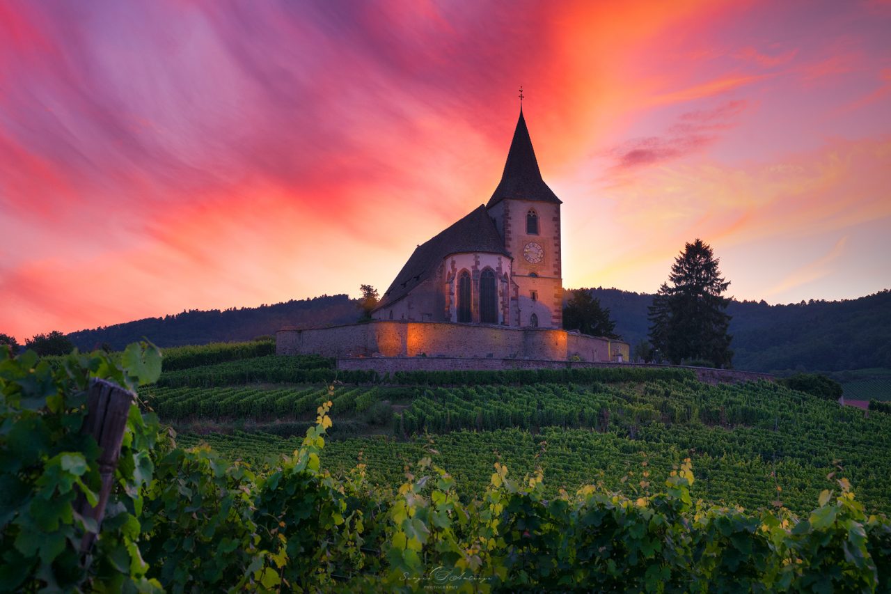 Fotografía de paisaje al atardecer en Alsacia entre viñedos.